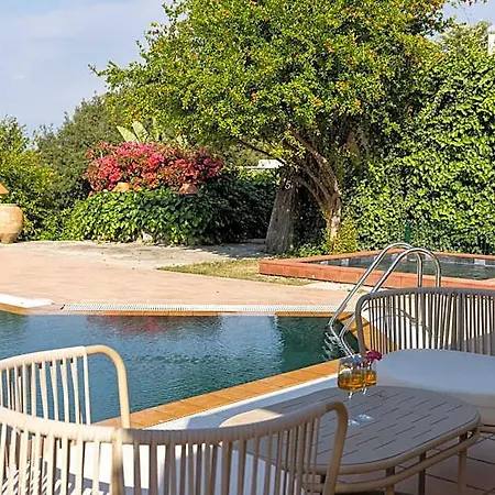 Odette Bodrum